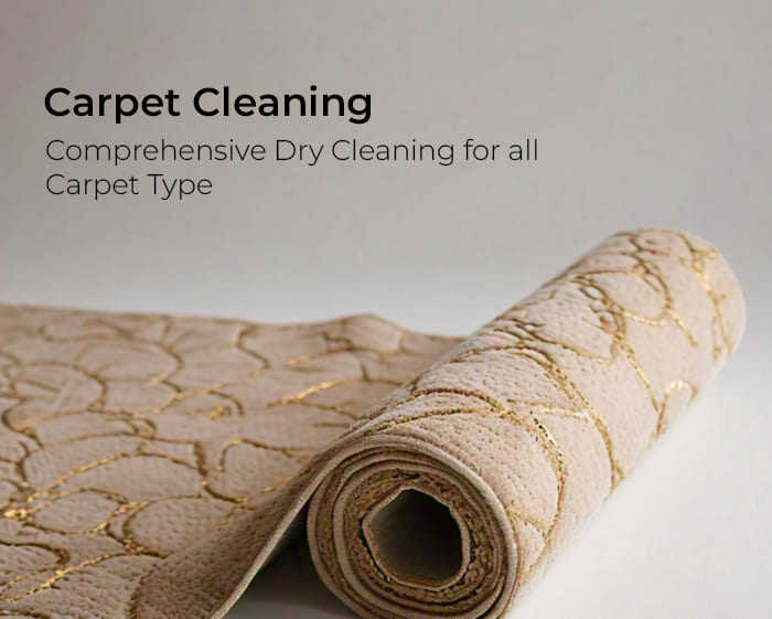 Professional laundry service in Lucknow